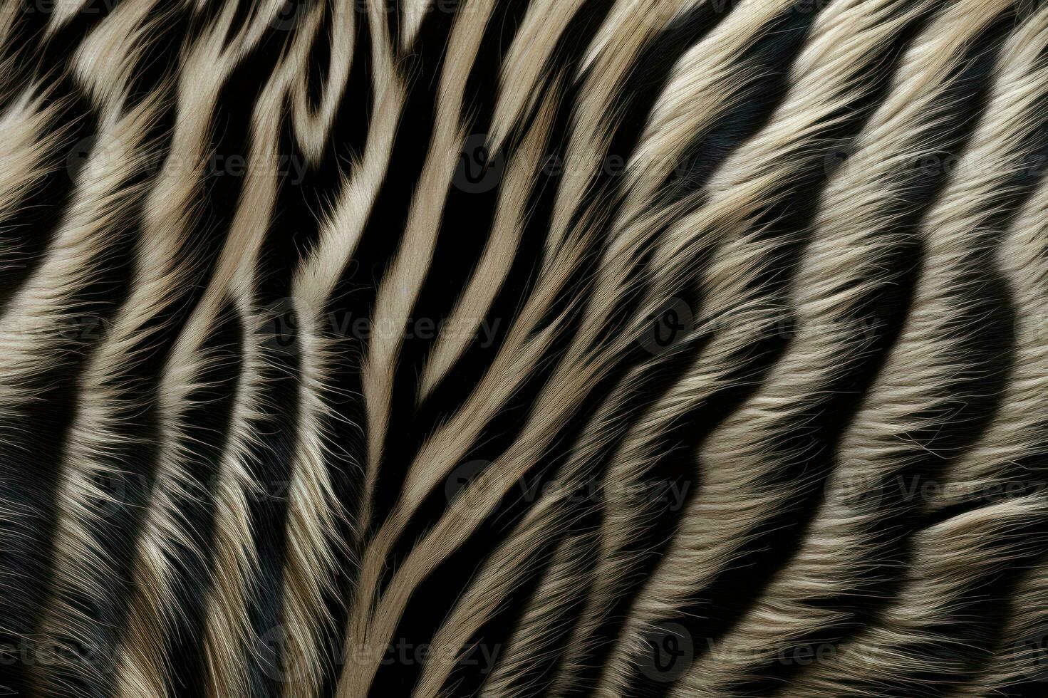 zebra päls textur. randig svart grädde fluffig zebra päls. närbild. kopia Plats. mjuk mysigt ull. värma filt, matta, matta, överkast. mall. skriva ut, bakgrund, textil, omslag, anteckningsbok, ai genererad foto