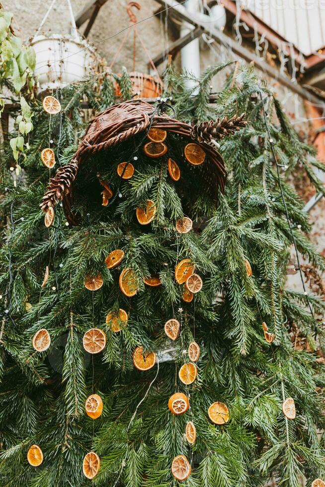 naturlig dekoration tillverkad av torr orange skivor på tall gren. diy jul mat dekoration. miljö, återvinna, återanvändning och noll avfall begrepp. selektiv fokus foto