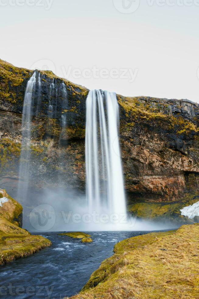 pittoresk isländsk kaskad omgiven förbi hög bergen och underbar grönska. Seljalandsfoss vattenfall rusar över ett kant med frysning vatten och stor stenar, nordic destination. foto