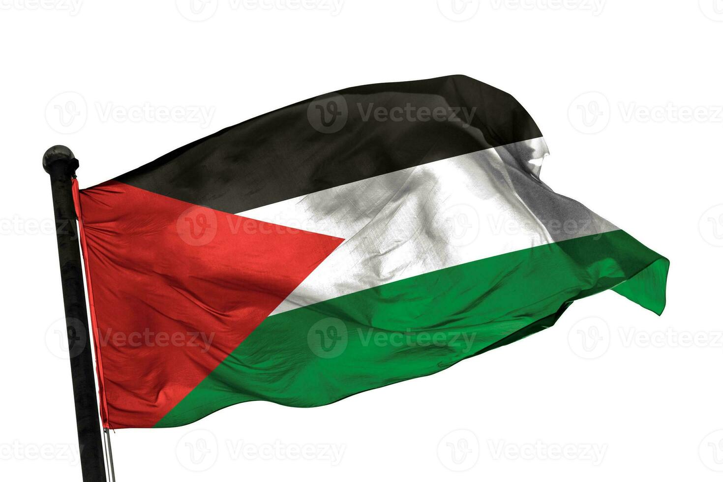 palestina flagga på en vit bakgrund. - bild. foto