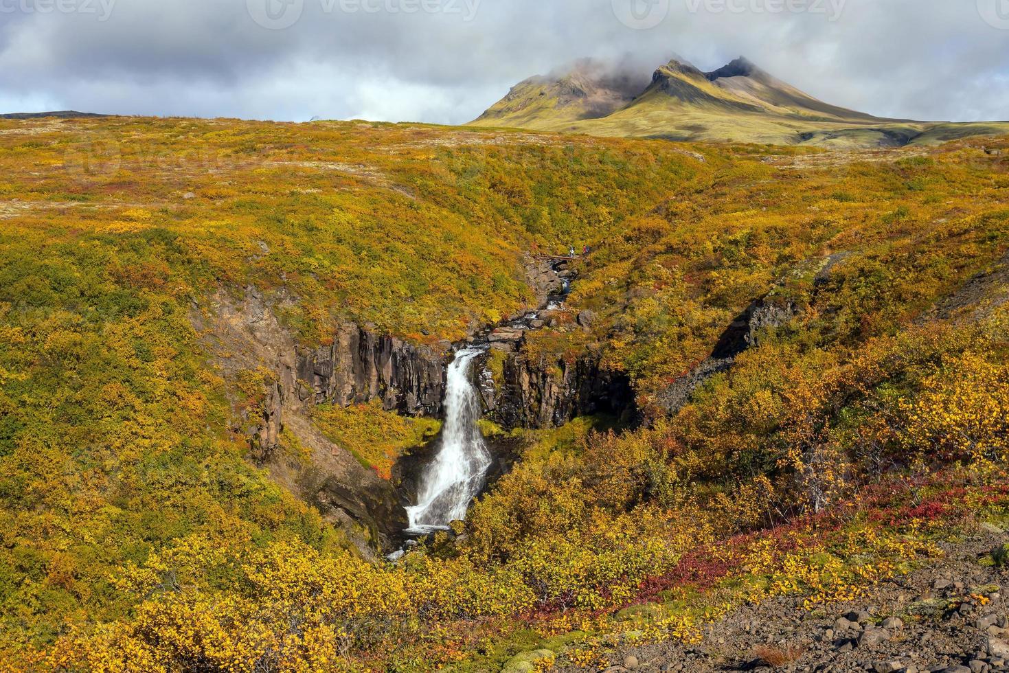 svartifoss på Island foto