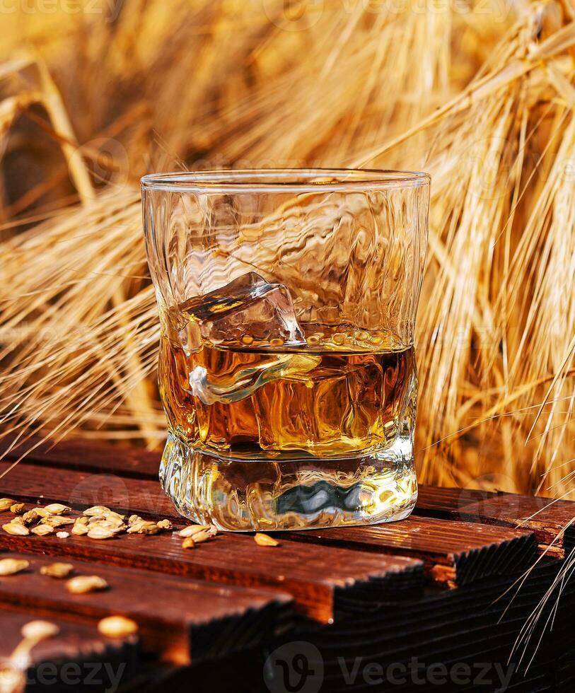 glas av whisky i en fält med öron foto