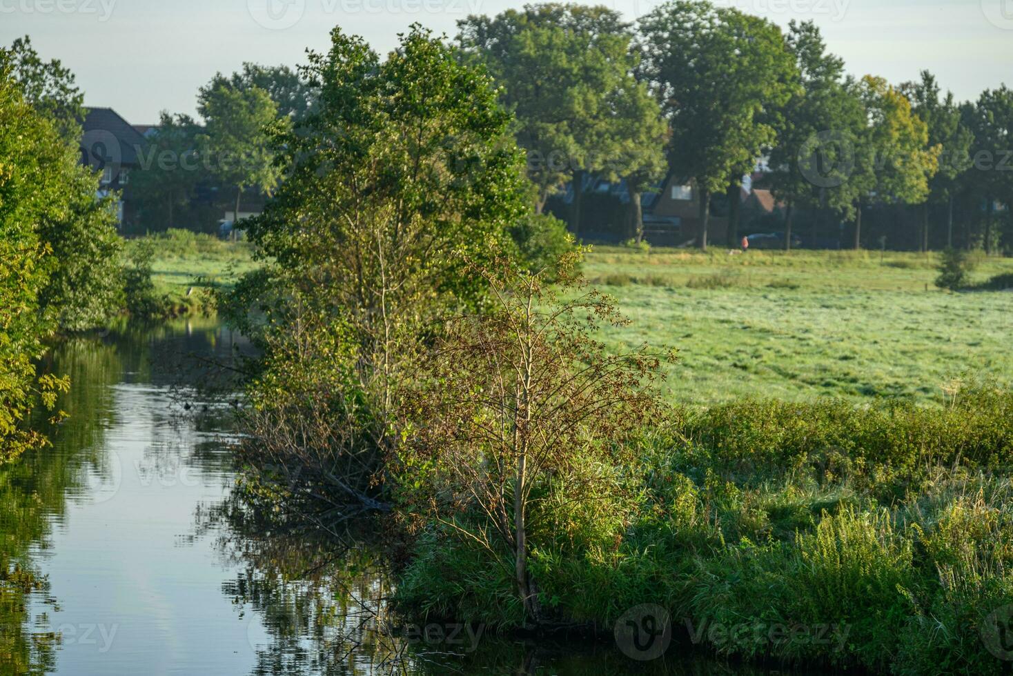tidigt morgon- på en flod i Westfalen foto