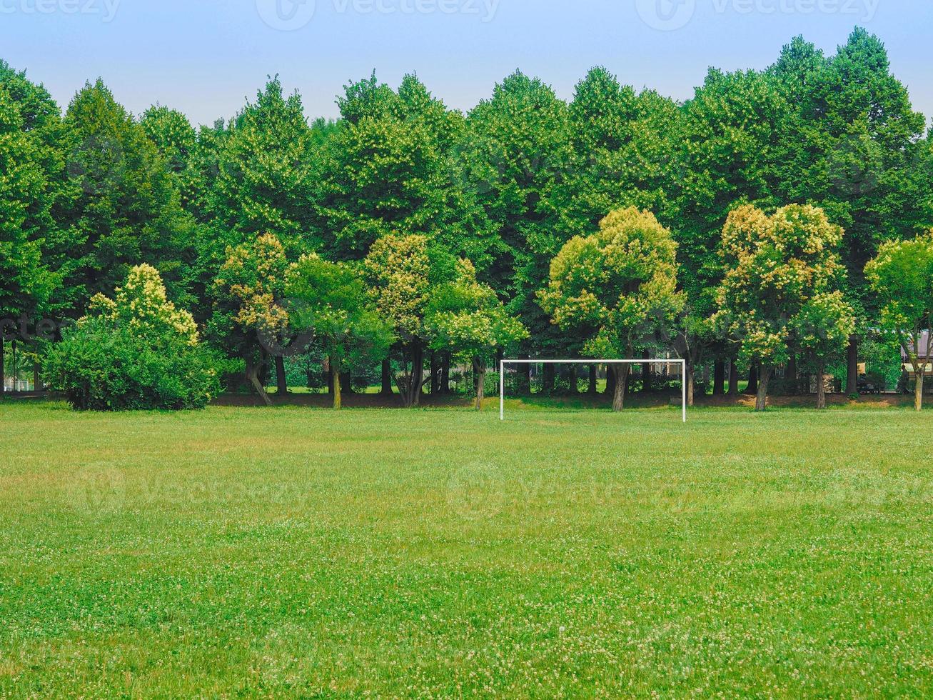 dalla chiesa park i collegno foto