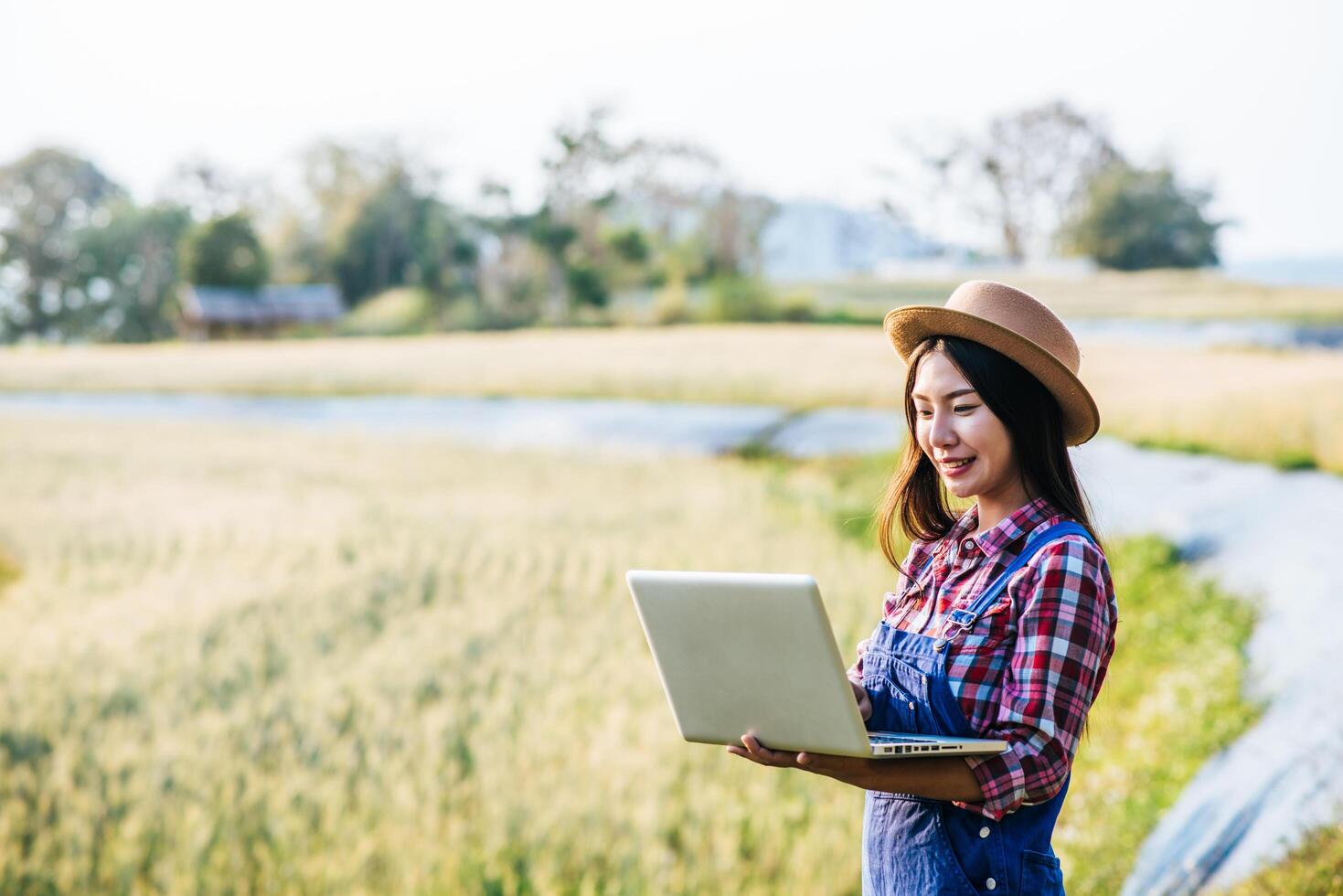 smart kvinna bonde tittar på korn fält med bärbar dator foto