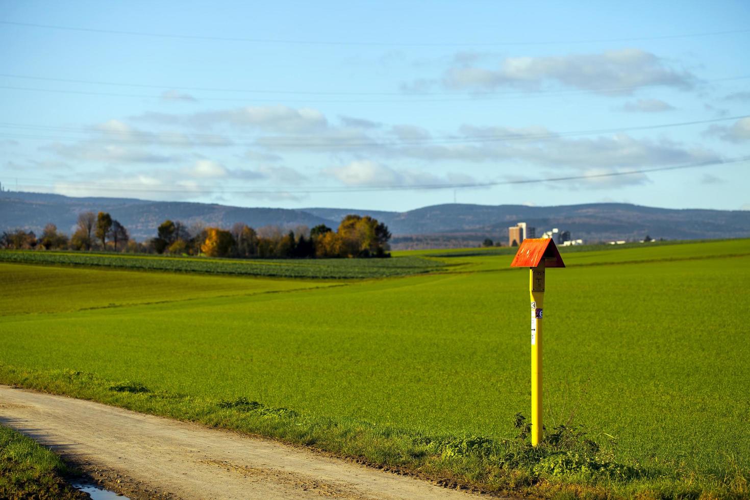 grönt gårdsområde i naturen foto