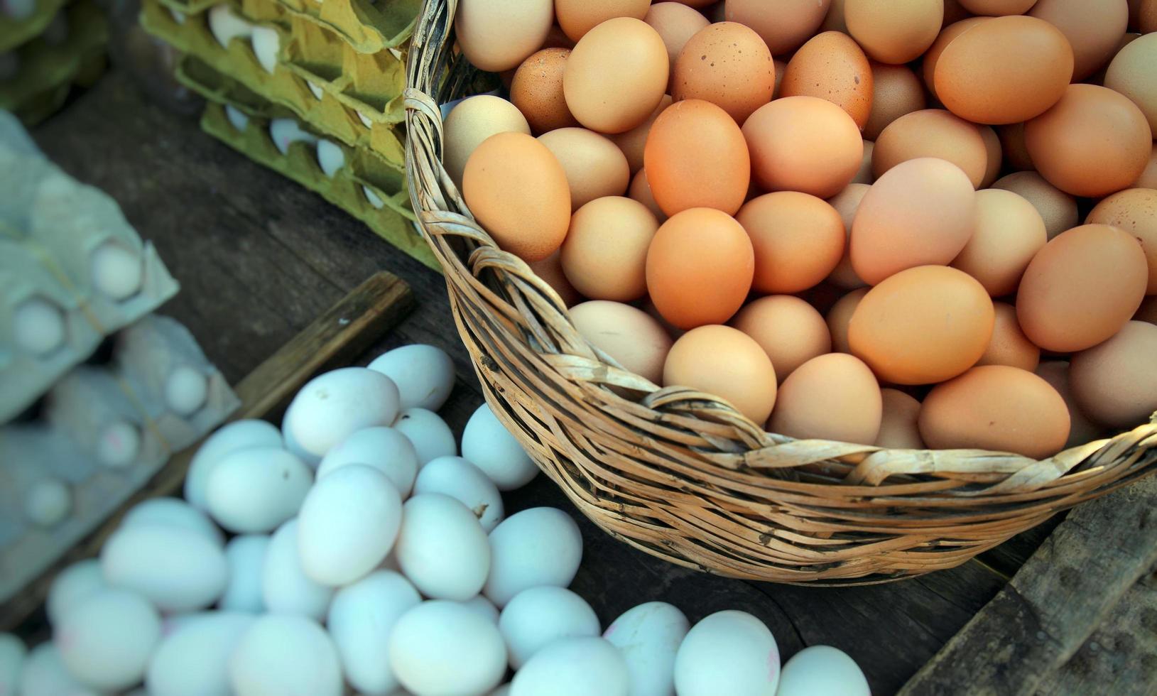 mat protein organiskt kyckling rå ägg foto