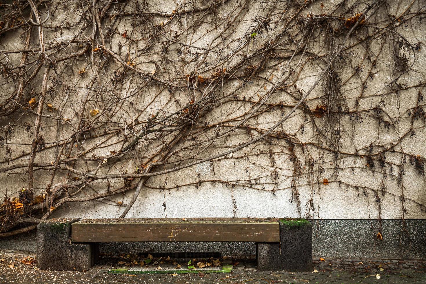 smutsig grunge stenmur bakgrund foto