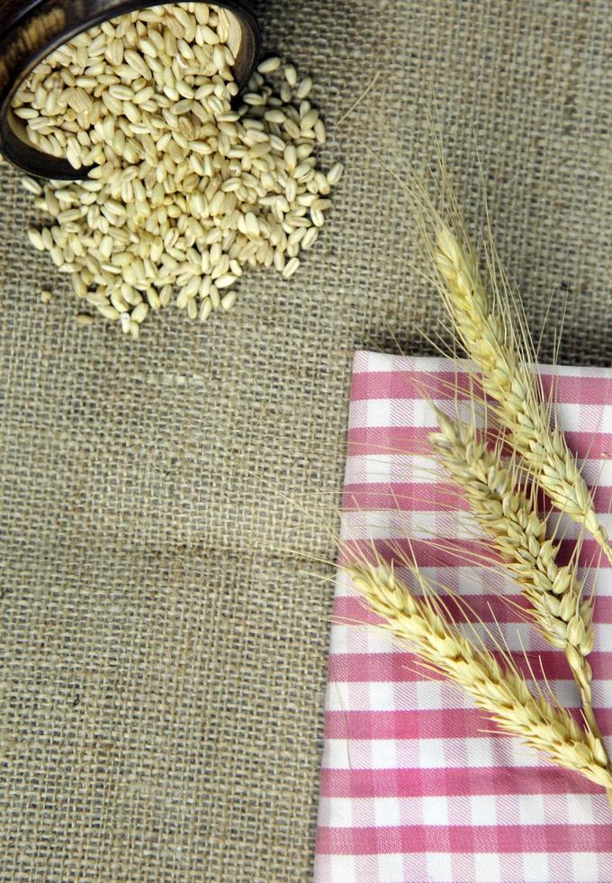 italiensk makaroner pasta okokt rå mat foto