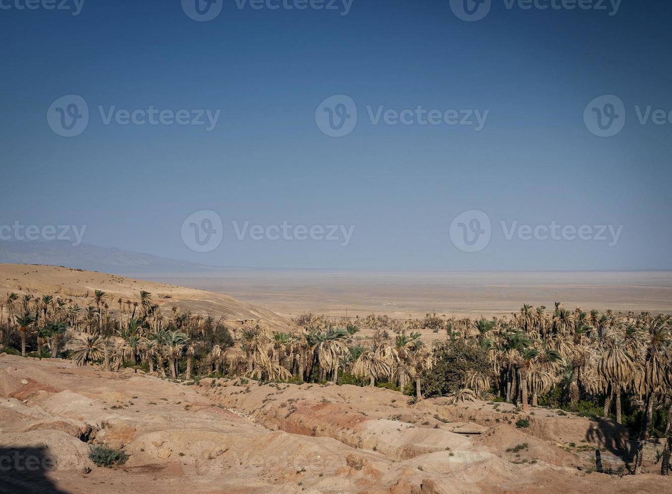 ökenlandskapsvy i garmeh -oasen nära yazd södra Iran foto