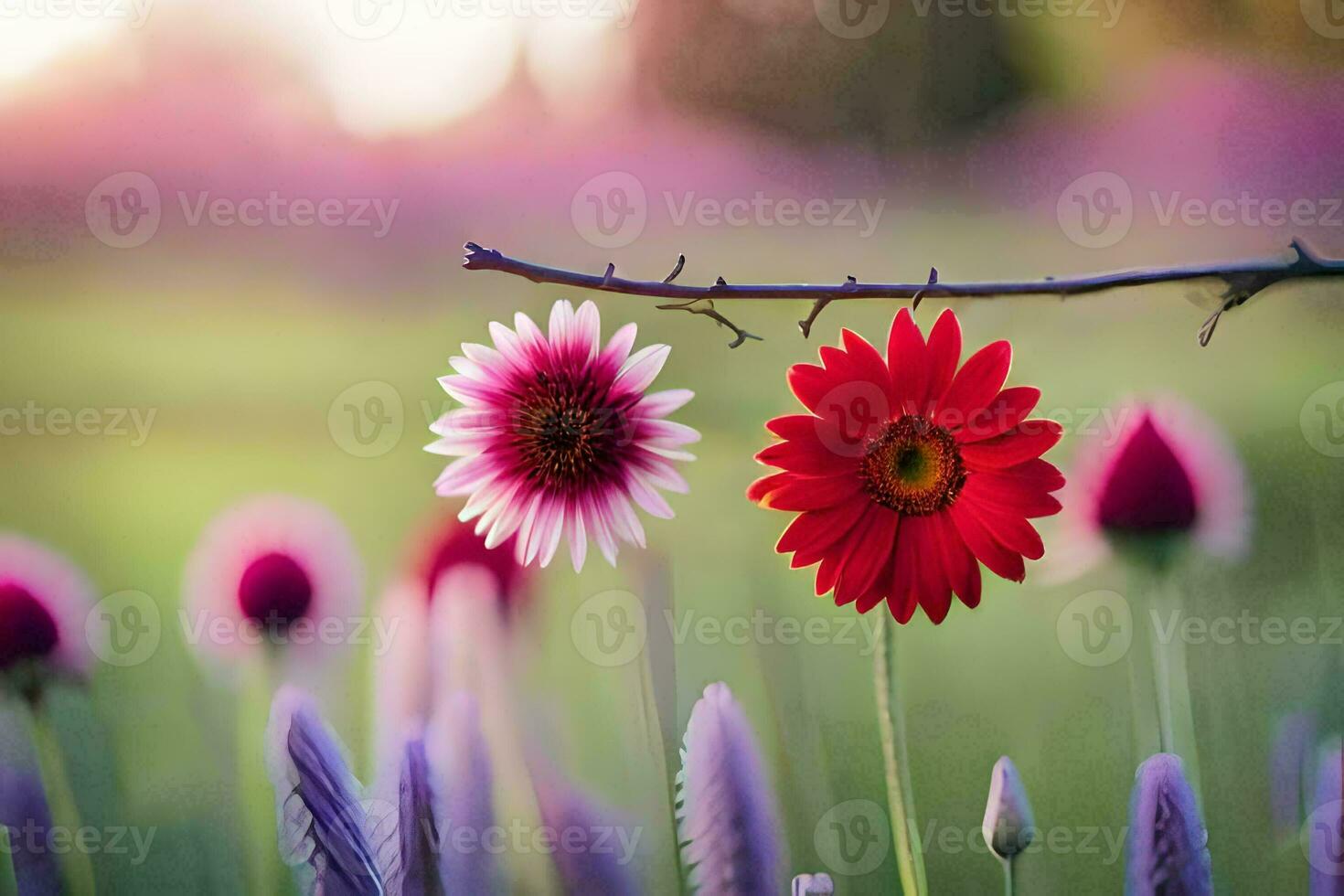 två röd blommor är Sammanträde på en gren i en fält. ai-genererad foto