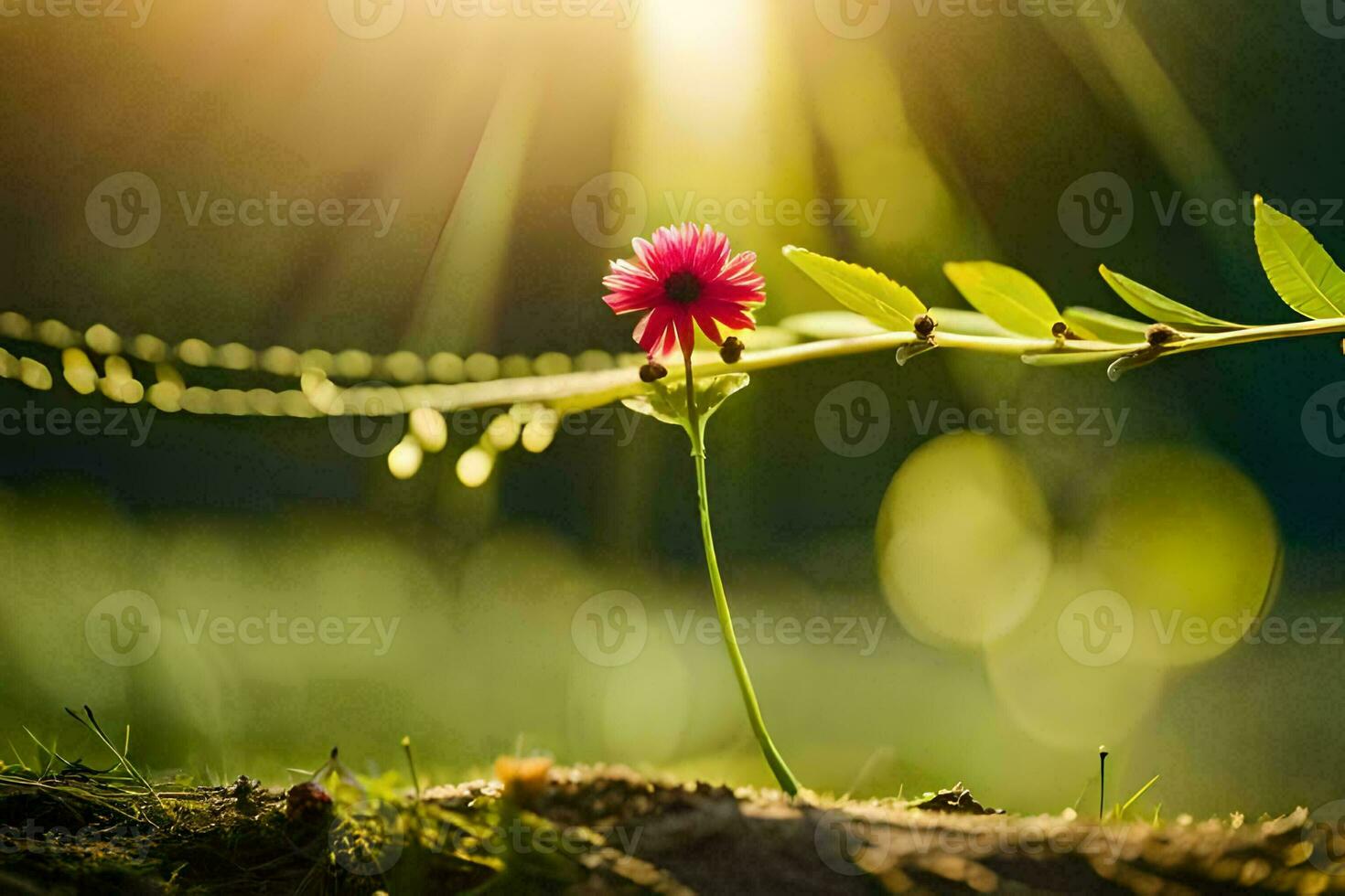 en enda blomma är växande i de Sol. ai-genererad foto