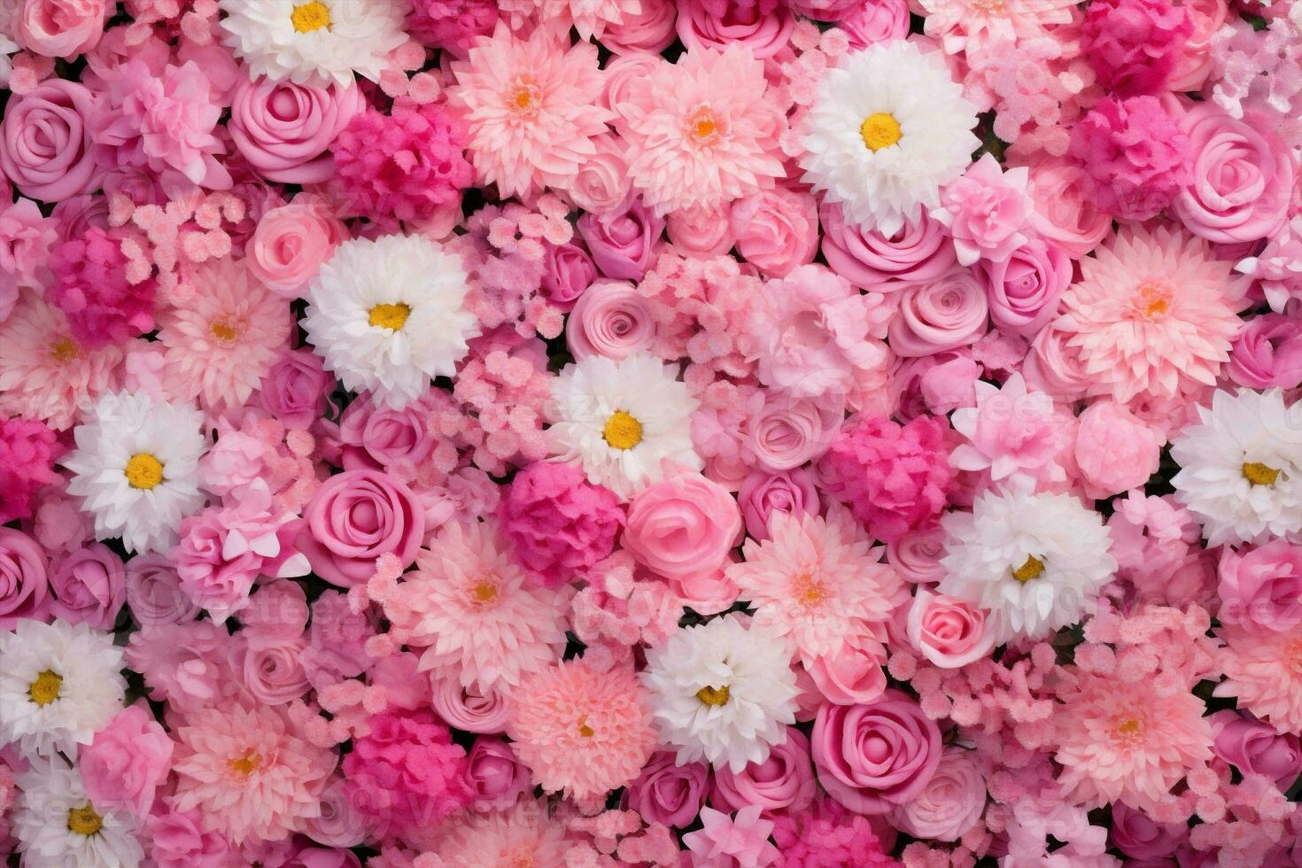 bakgrund rosa blomma reste sig valentine bukett foto