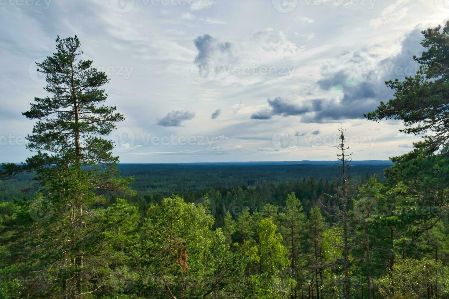 skurugata i smaland, Sverige. synpunkt med se över skogar i skandinavien. foto