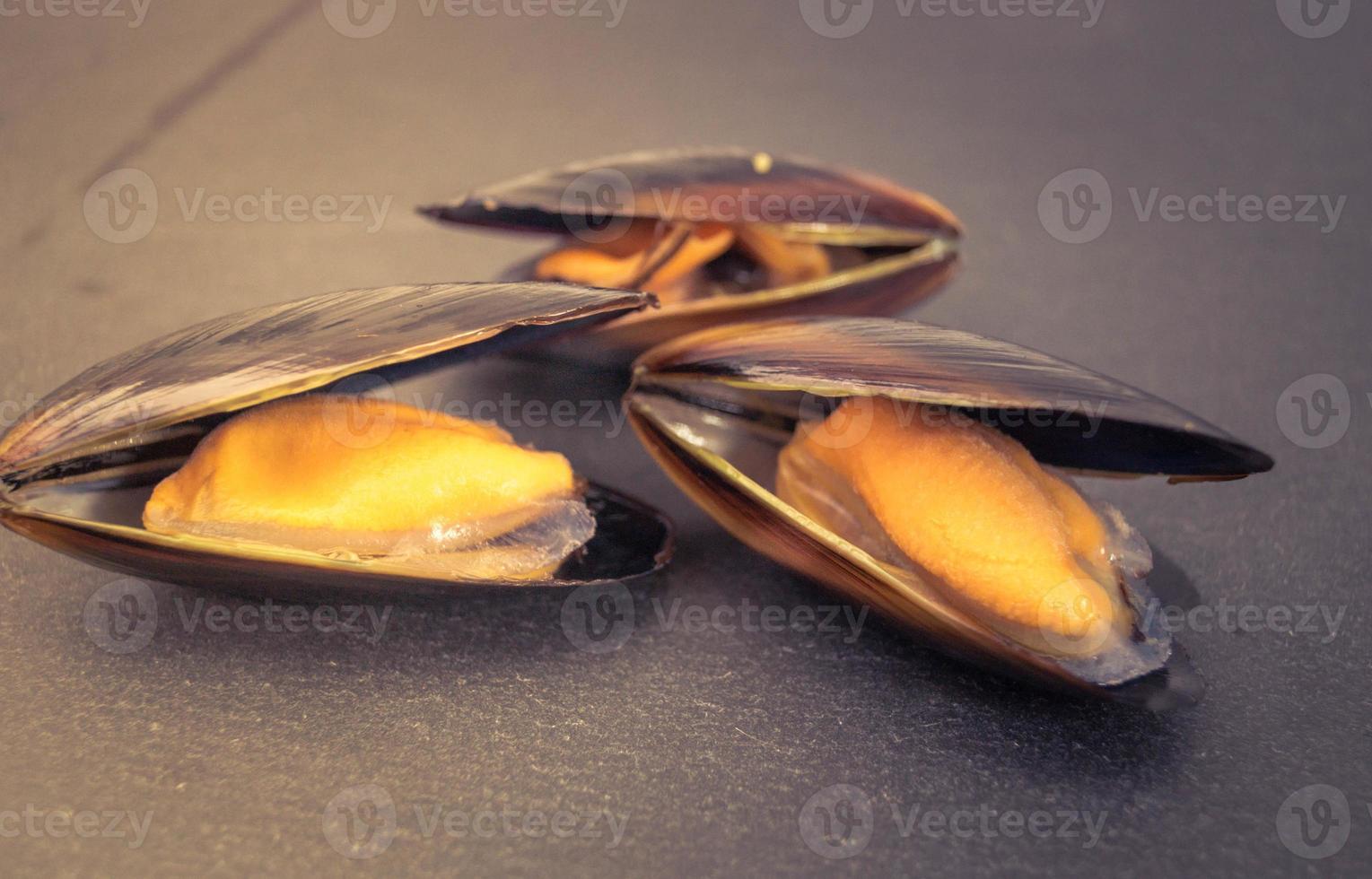 musslor och räkor älskade skaldjur foto