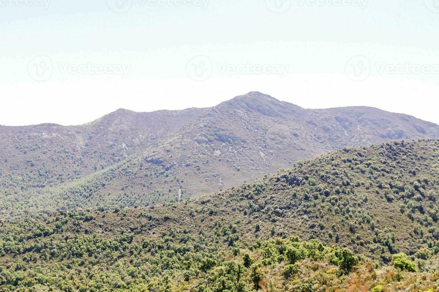 naturskön bergsutsikt foto