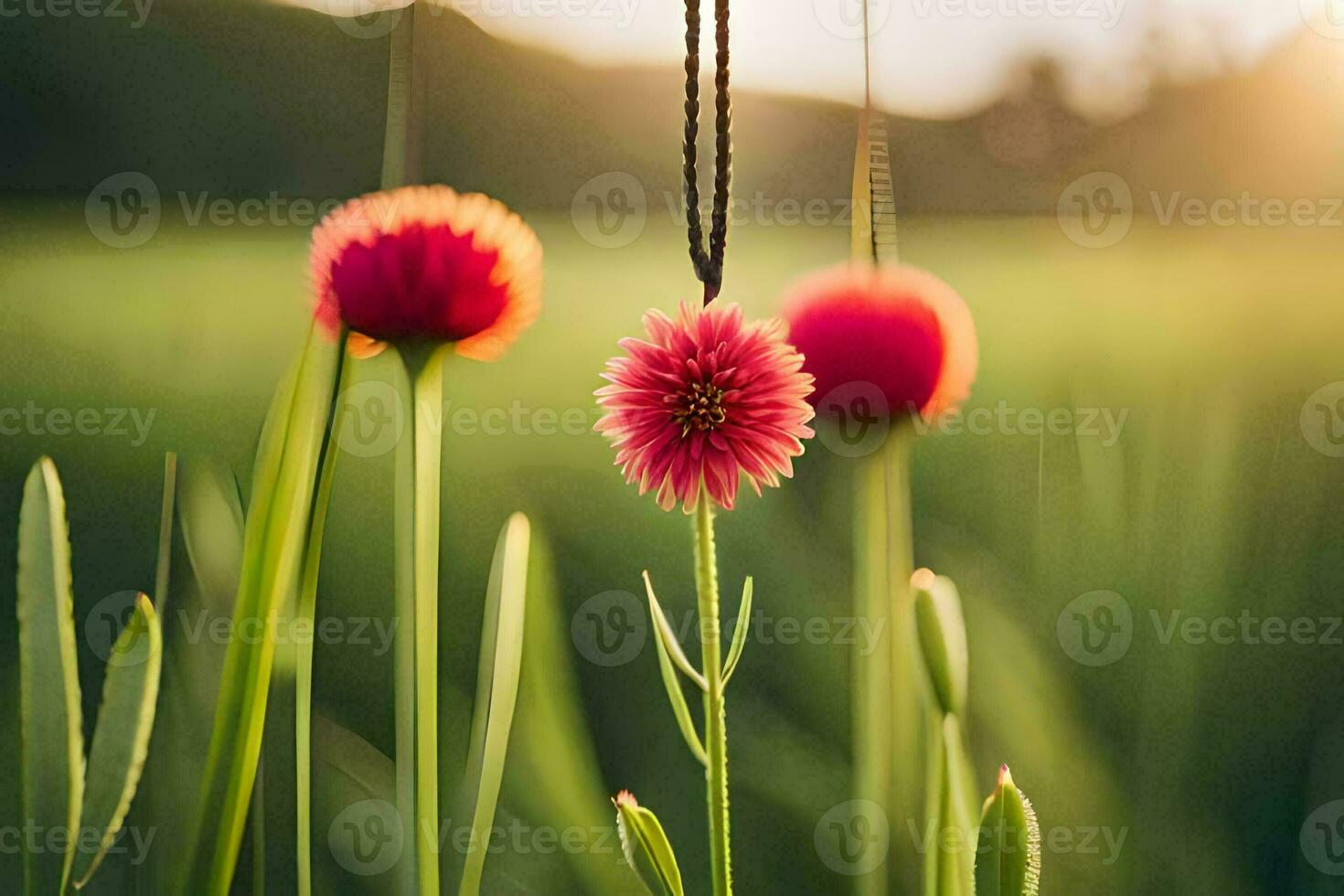 en röd blomma är i de mitten av en fält. ai-genererad foto
