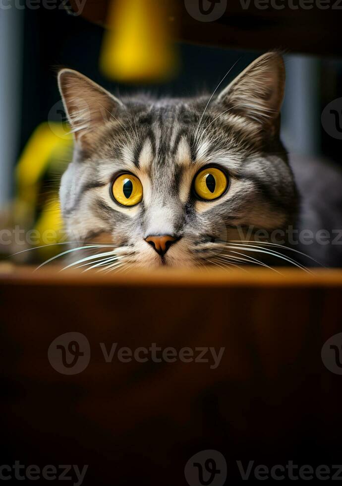 porträtt av en skön tabby katt med gul ögon ser på de kamera ai generativ foto
