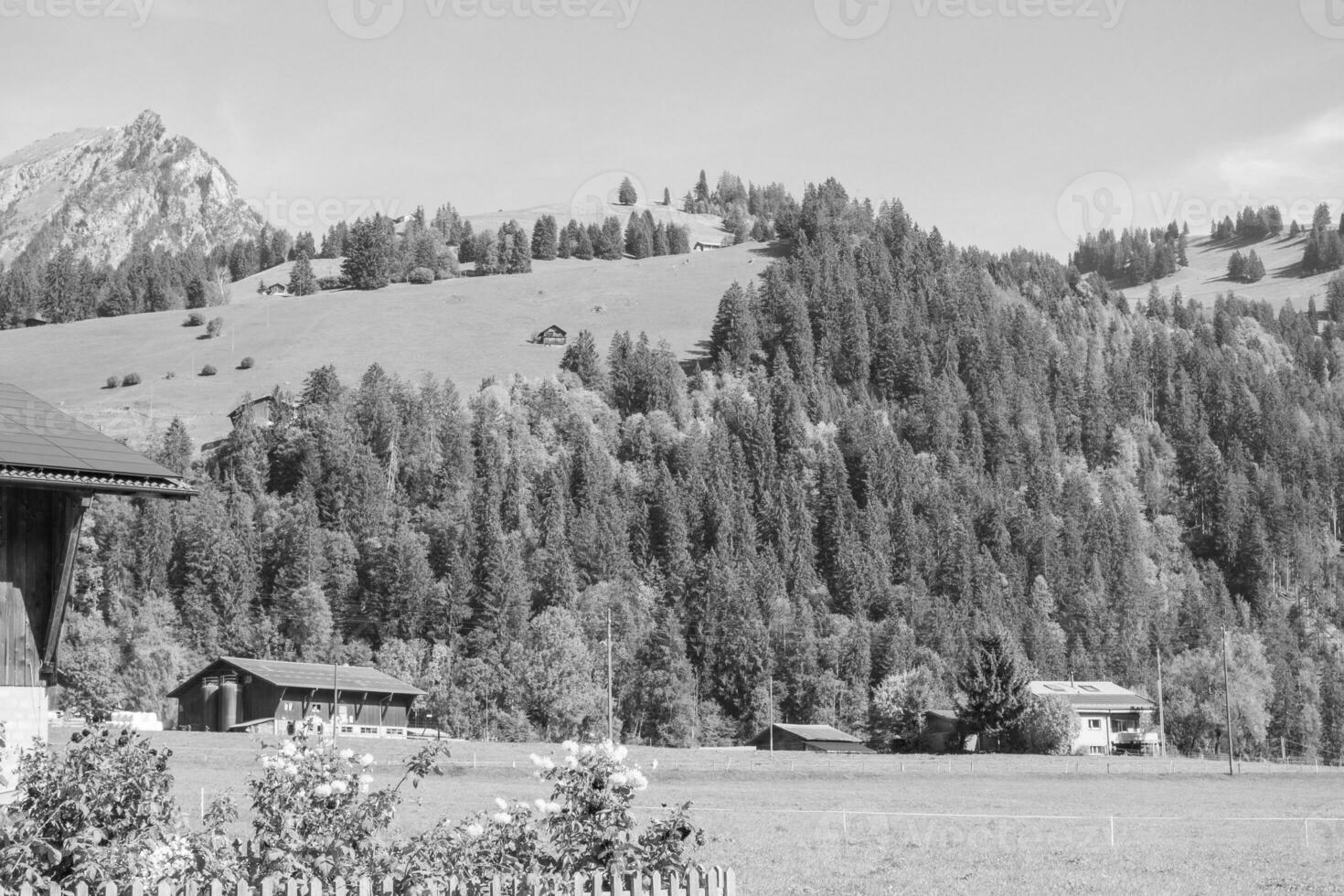 höst tid i schweiz foto