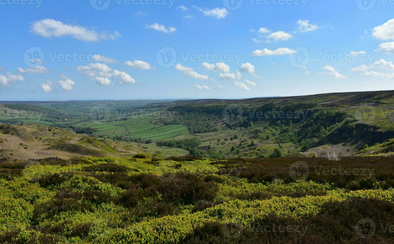 Fantastisk hed visningar i norr England på en vår dag foto