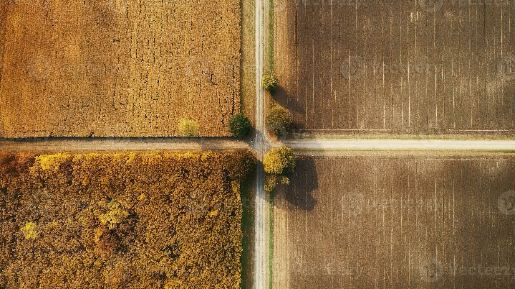 generativ ai, bruka höst landskap, jordbruks fält, skön grön, gul, orange och beige landsbygden, Land väg. natur illustration, fotorealistisk topp se Drönare. foto