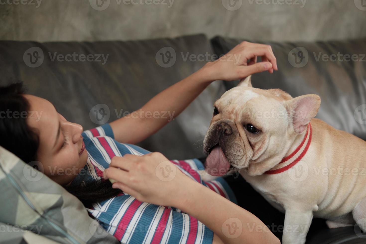 kvinna är lyckligt roligt att leka och reta hund, fransk bulldog. foto