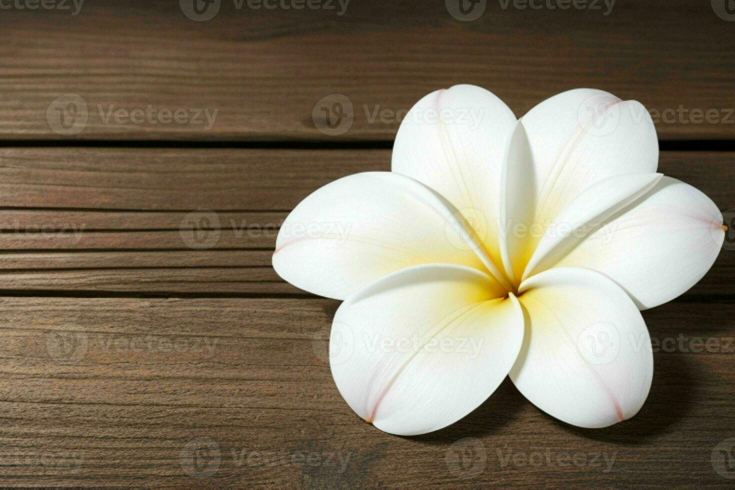 plumeria blomma. bakgrund. ai generativ proffs Foto