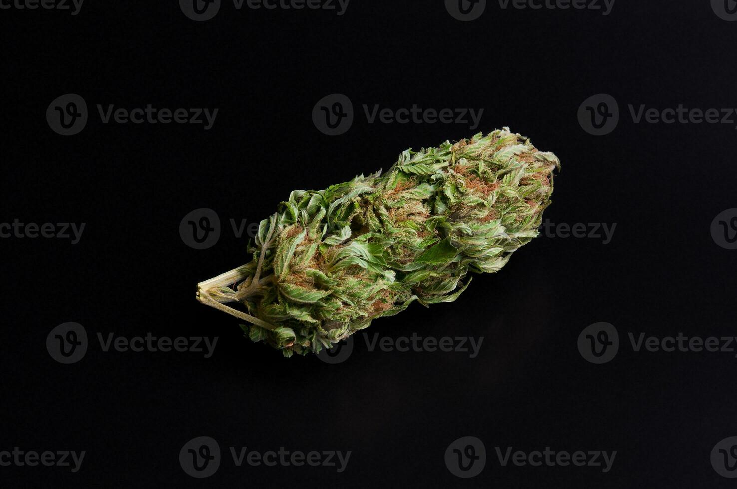 medicinsk marijuana torr blomma stänga upp på svart bakgrund foto