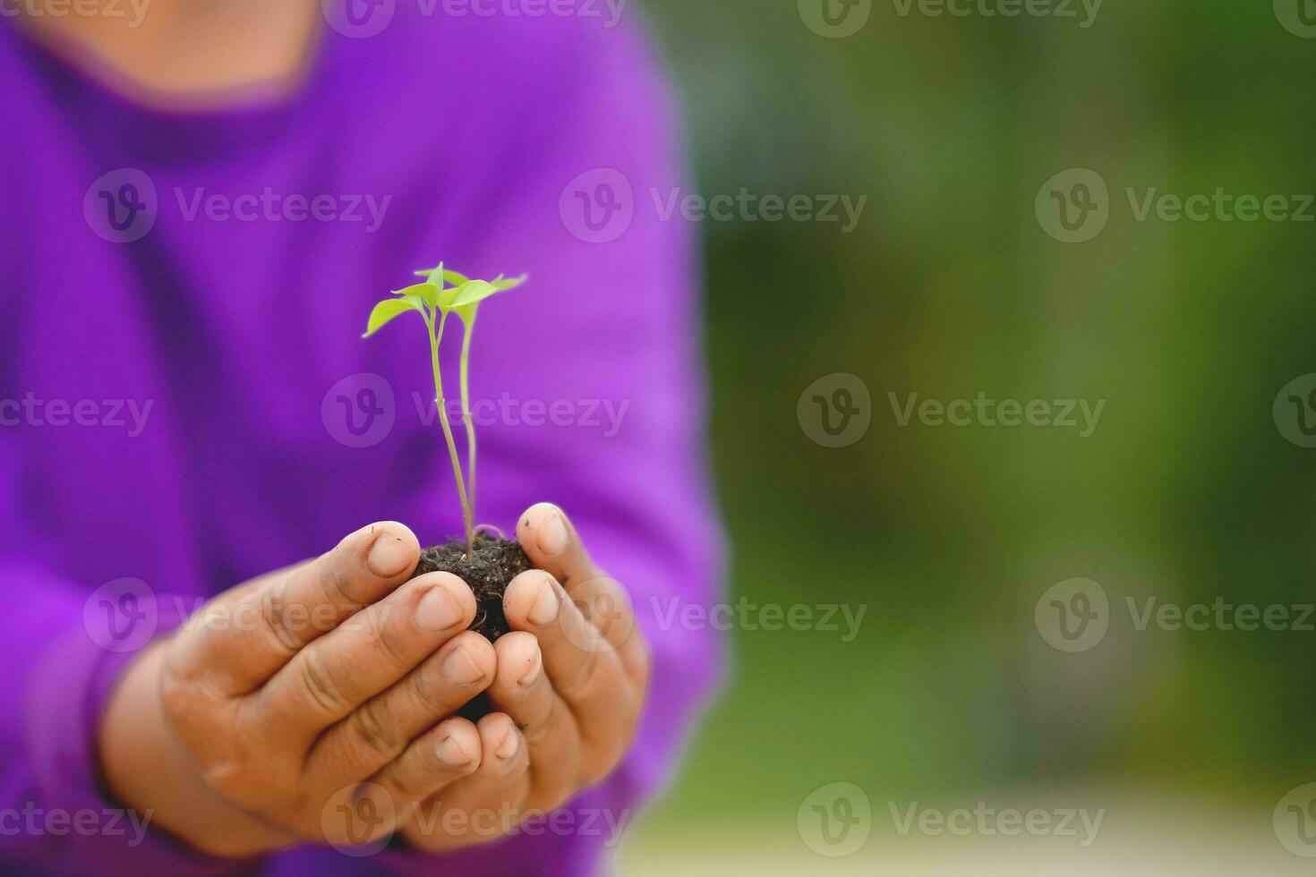 bondens händer är plantering plantor in i de jord. foto