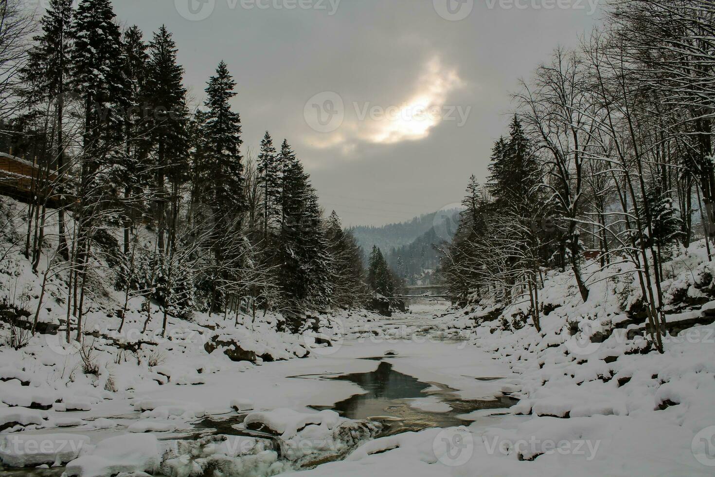 berg flod i vinter. snötäckt klyfta i de karpaterna. frysta vatten i en ström strömmande bland de stenar. bakgrund av bergen och skog. atmosfär av jul och ny år foto