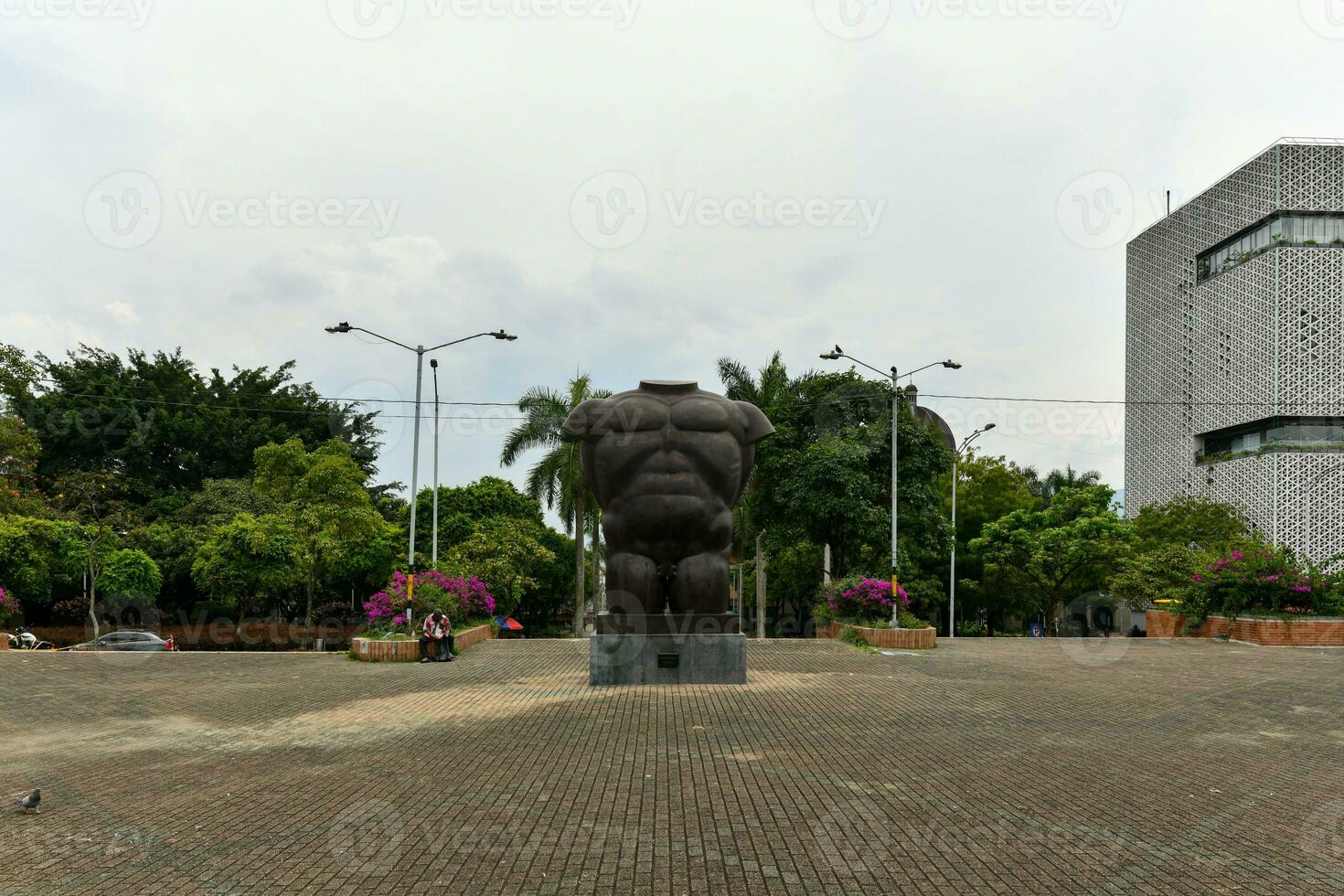 manlig torso - san antonio parkera foto