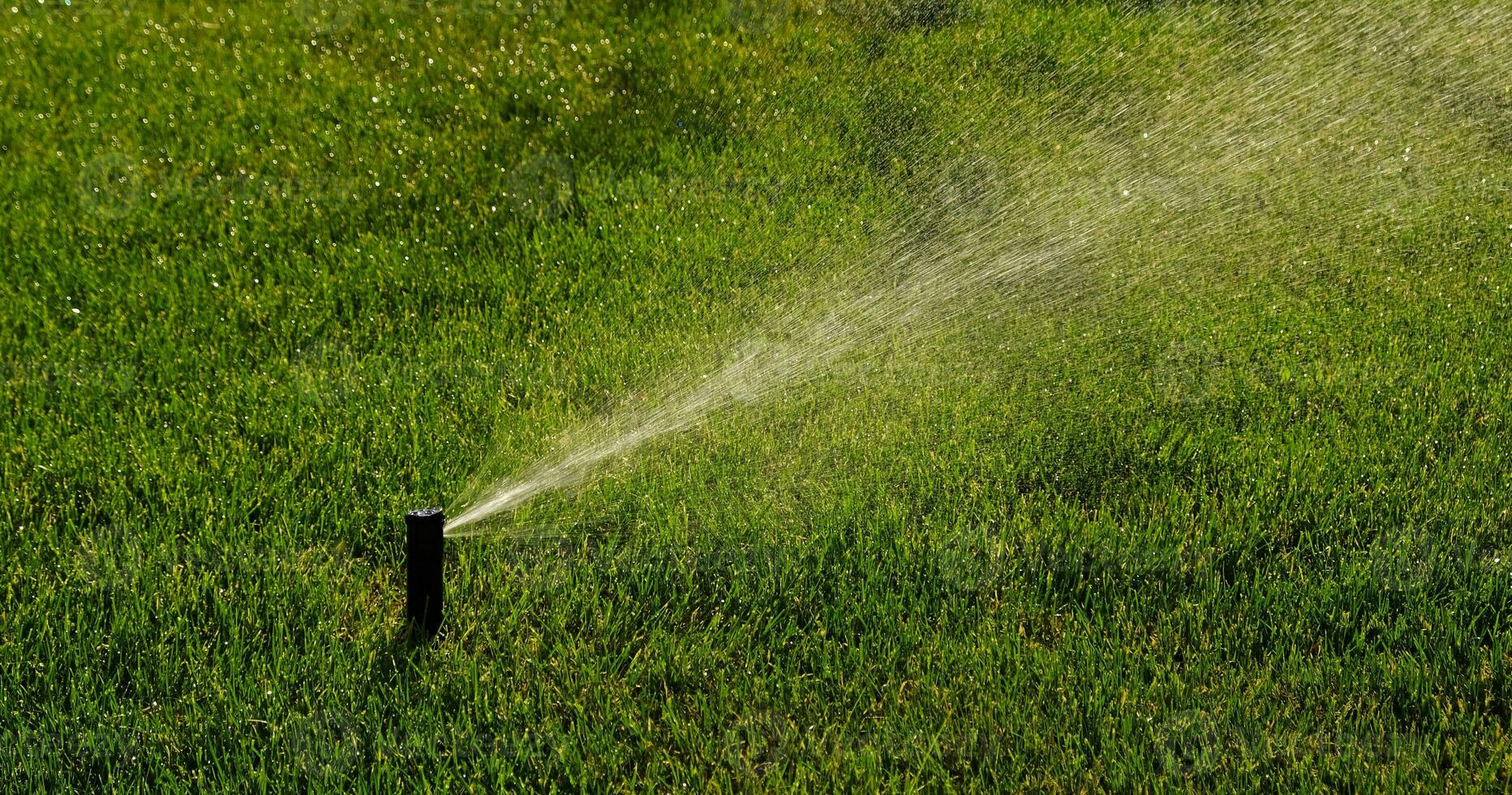 automatisk trädgård bevattning systemet vattning gräsmatta med justerbar huvud. automatisk Utrustning för bevattning och underhåll av gräsmattor, trädgårdsarbete. foto