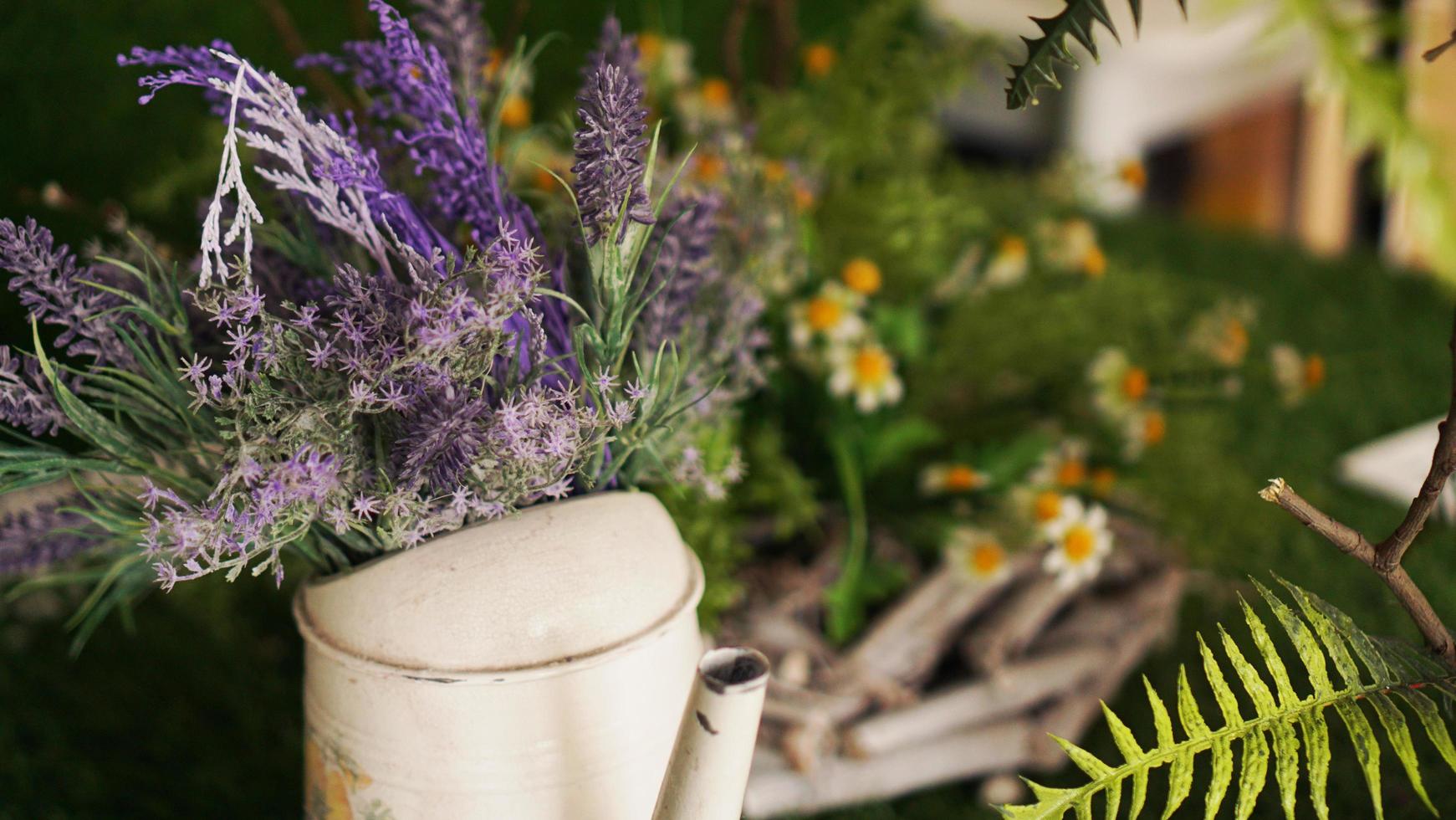 lavendel i en gammal tekanna. grönt gräs och kamomill foto