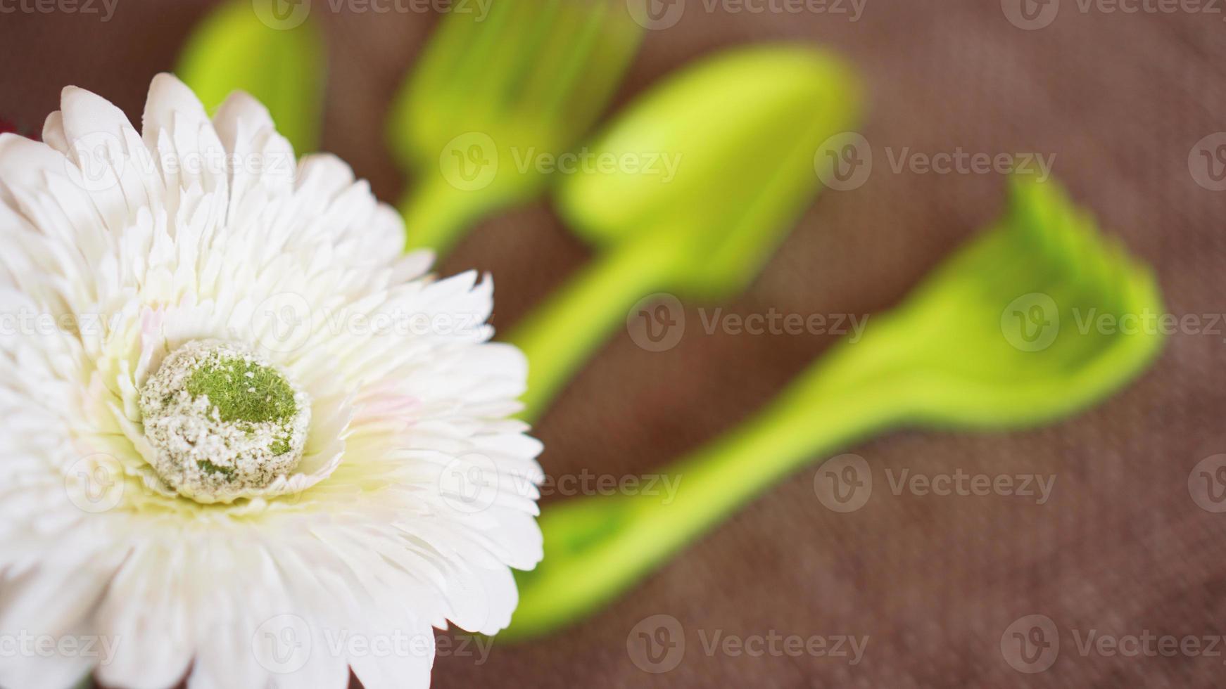 trädgårdsarbete bakgrund. trädgårdsredskap och blommor foto