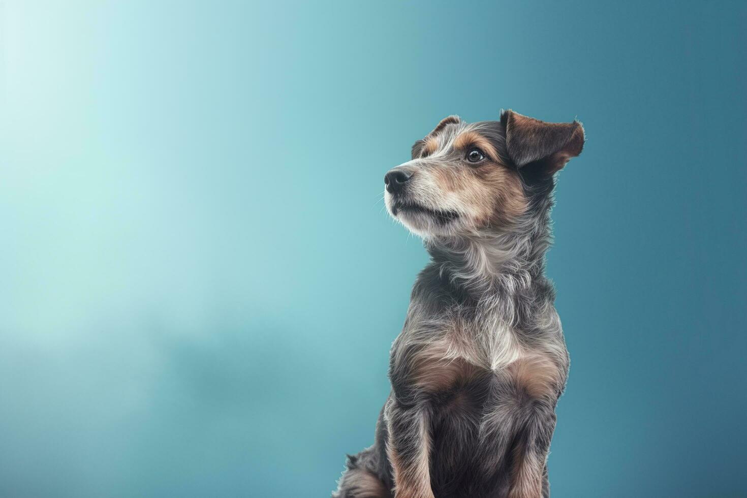 söt oskyldig hund Sammanträde på blå bakgrund med kopia Plats ai genererad foto