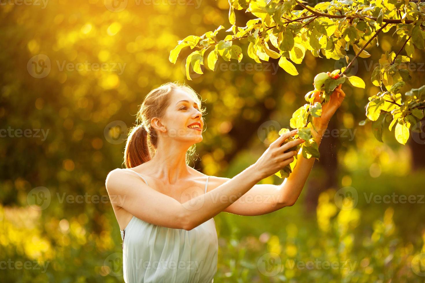 glad kvinna plockar ett äpple från ett träd foto