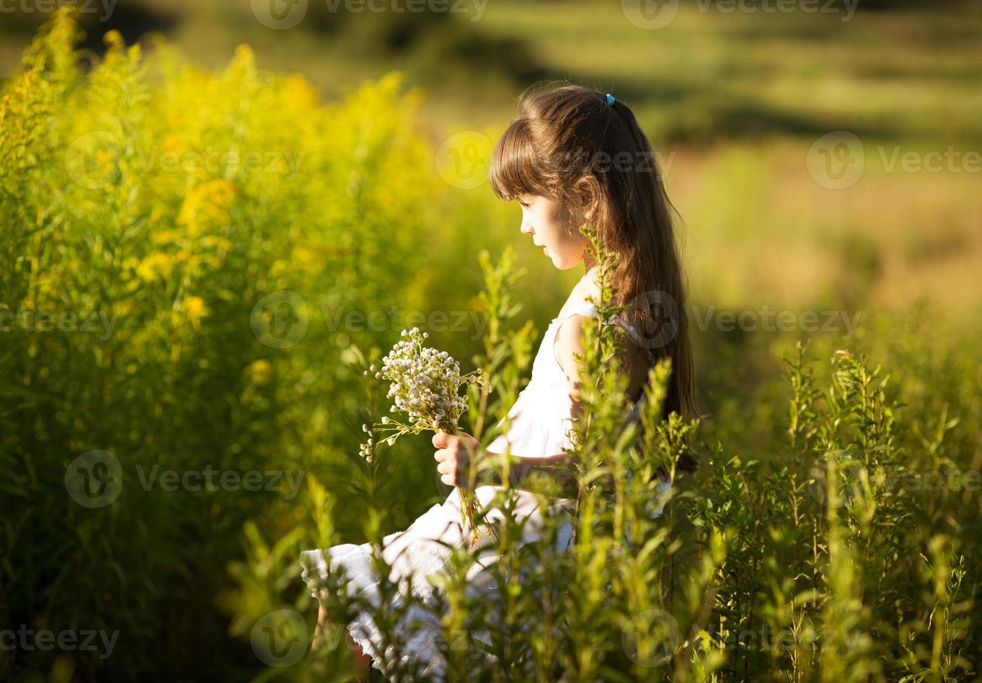 flicka som plockar blommor på ett fält foto