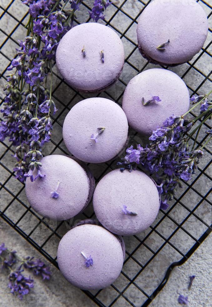 franska macarons med lavendelsmak foto