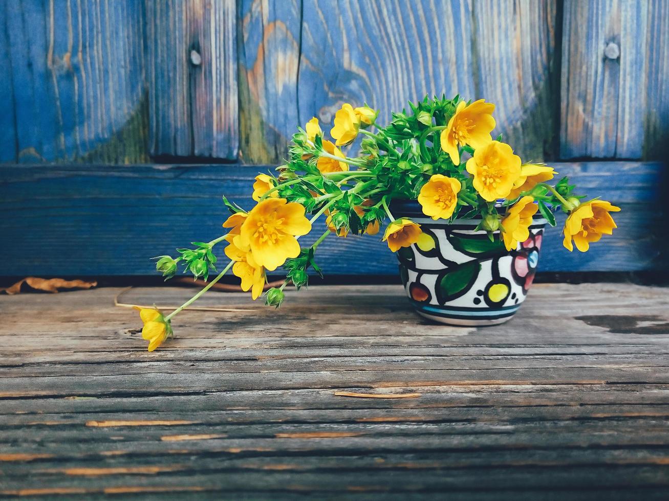gula färska vilda blommor i färgglada keramiska vas, på blå trä veranda bakgrund. stilleben i rustik stil. närbild. vår eller sommar i trädgården, landsbygdens livsstilskoncept. kopiera utrymme foto