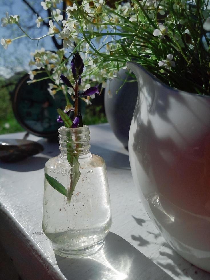 vilda färska blommor i porslinskanna, gammal klocka, på vit trästol, grönt gräs och blå himmelbakgrund. dagsljus, hårda skuggor. stilleben i rustik stil. landsbygdens livsstilskoncept foto