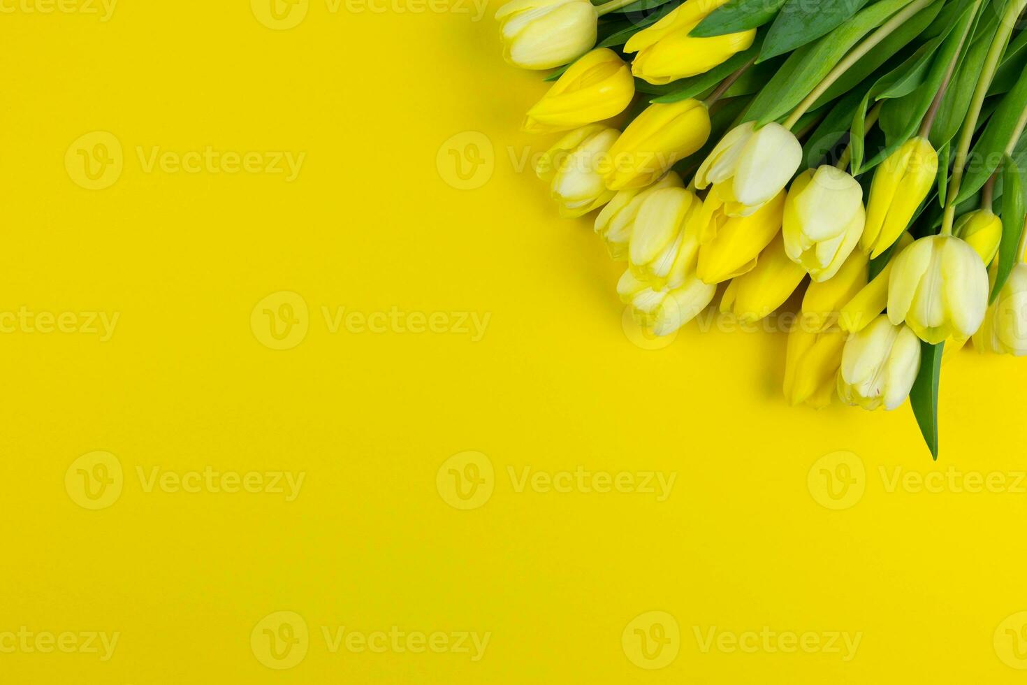 gul tulpaner blommor på gul bakgrund. alla hjärtans dag, kvinnor, mödrar dag, påsk, födelsedag, bröllop eller vår högtider platt lägga. topp se. kopia Plats. foto