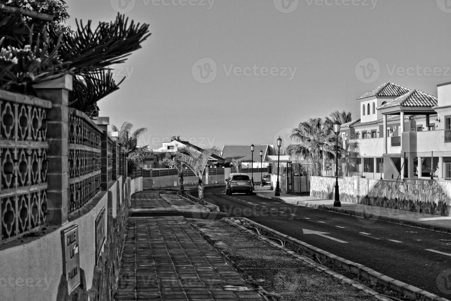 bred asfalt väg på de spanska kanariefågel ö fuerteventura med handflatan träd foto