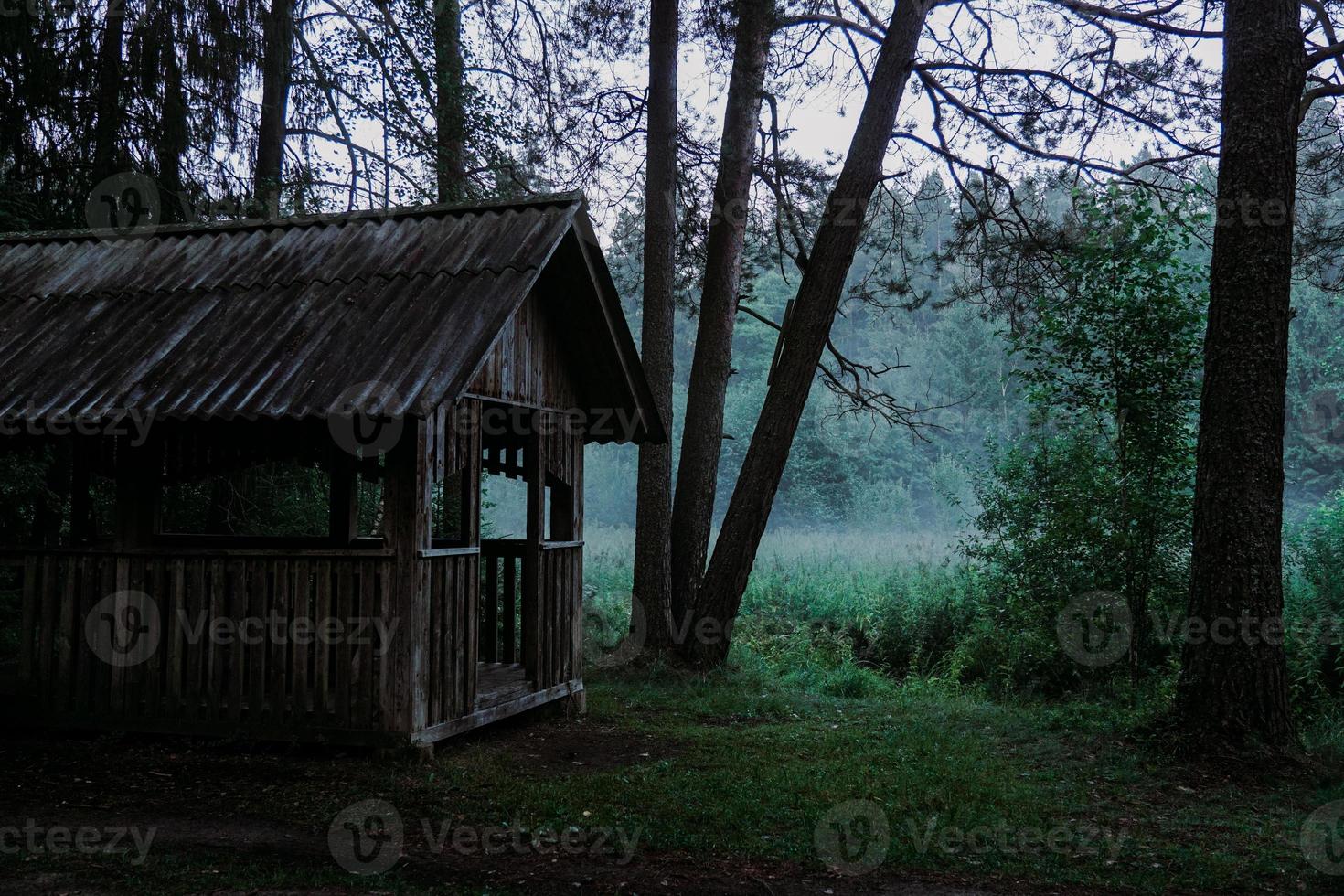 ett gammalt lusthus i trä i en grön skog. dimma över träsket foto