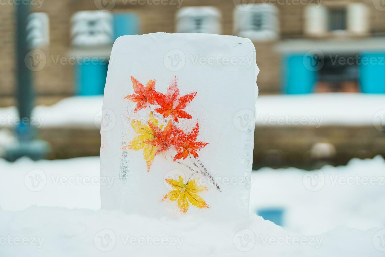 otaru snö ljus väg festival i vinter- säsong. landmärke och populär för attraktioner i Hokkaido, japan. resa och semester begrepp foto