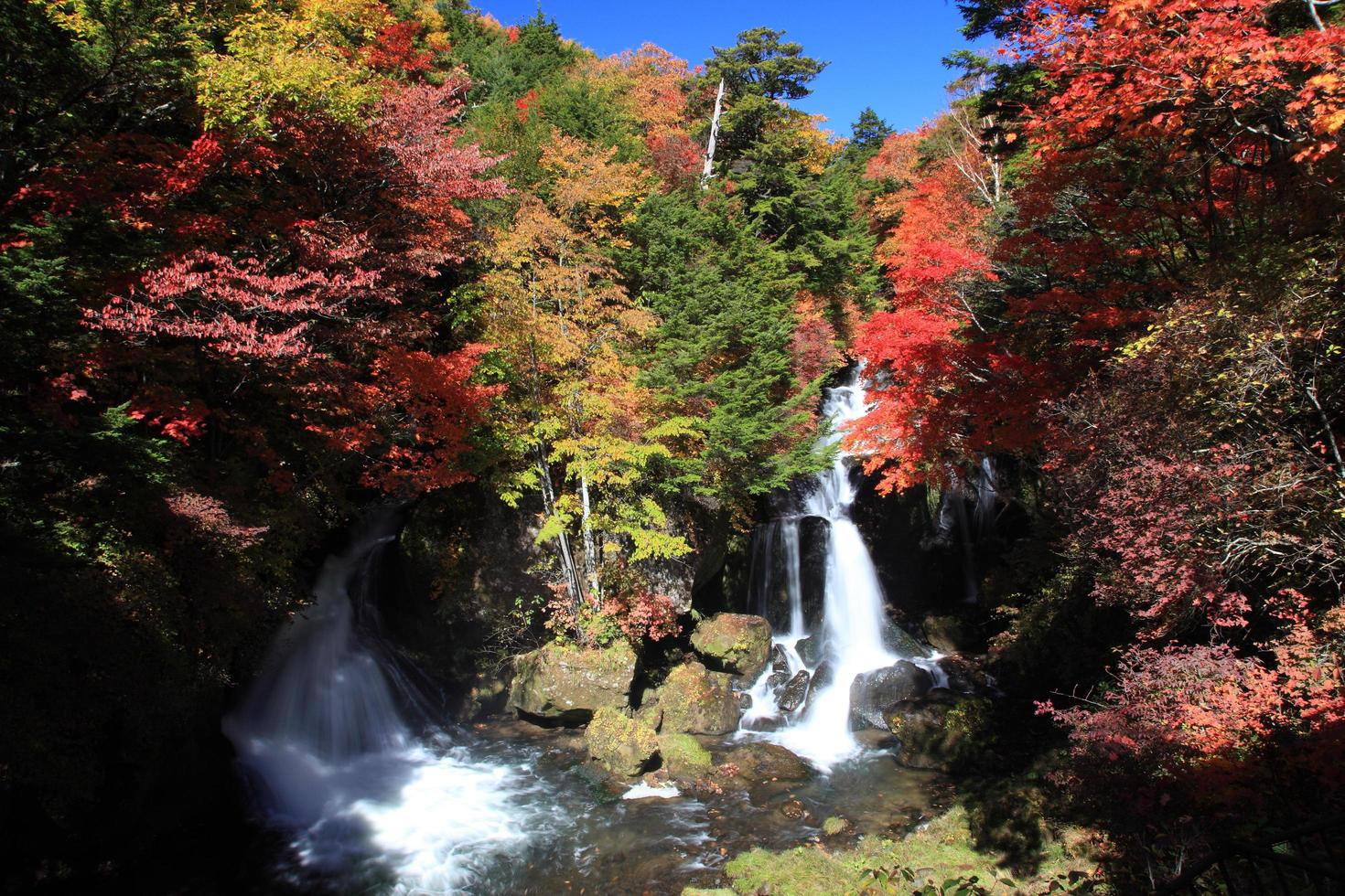 ryuzufallen - dubbla vattenfall i okunikko -regionen i nikko foto