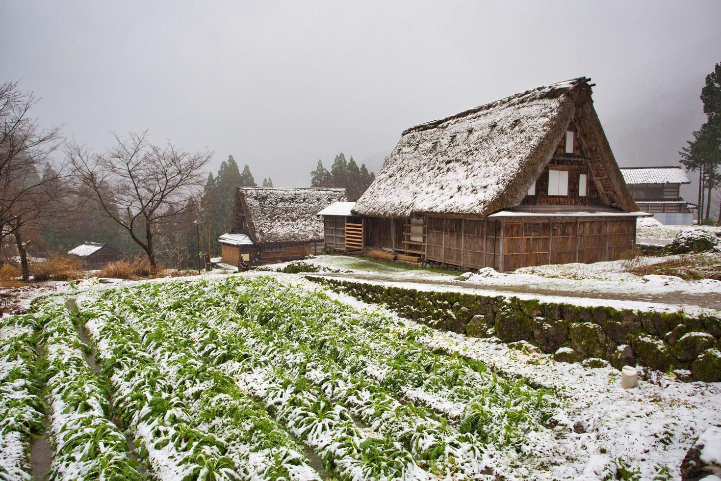 Gokayama -området i staden Nanto i Toyama Prefecture, Japan foto