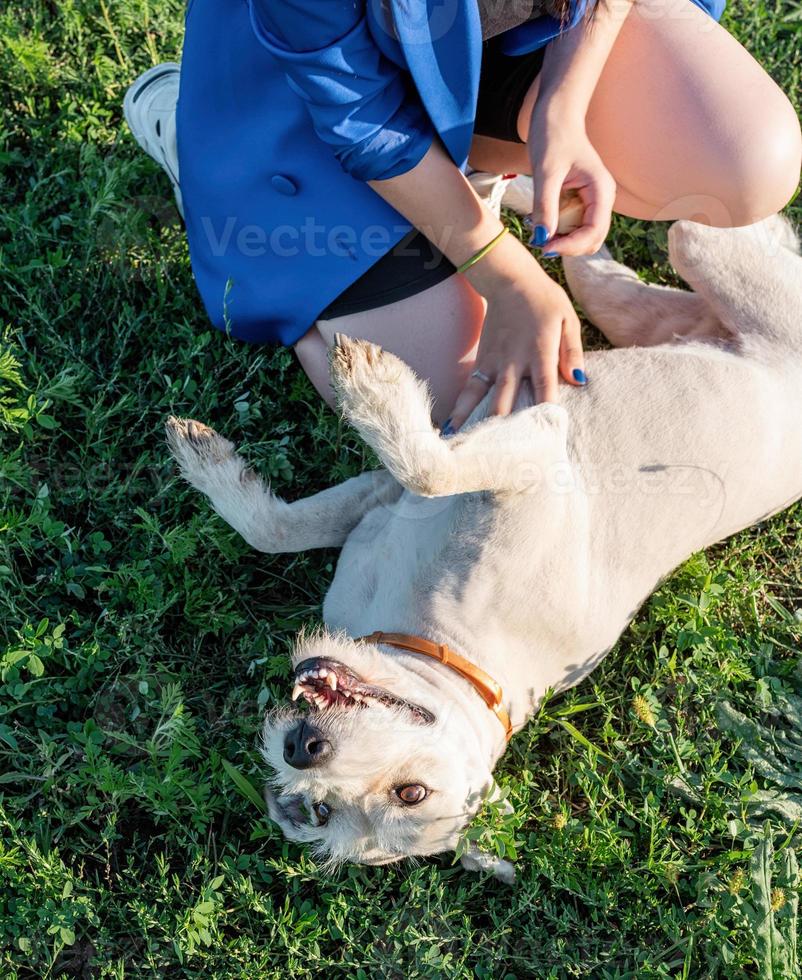 ung attraktiv kvinna som matar sin hund i parken sommardag foto