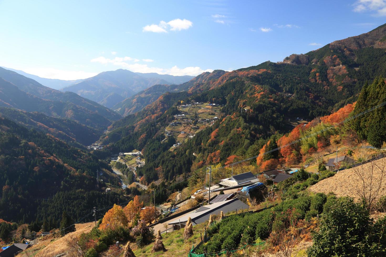vackert landskap i iya dalen shikoku japan foto