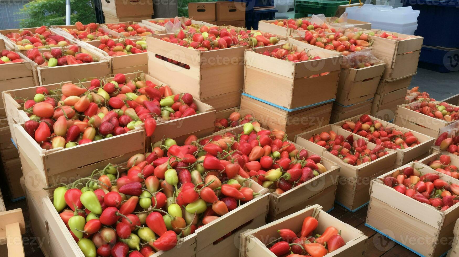 nyligen plockade ambarella frukt från trädgård placerad i de lådor. generativ ai foto