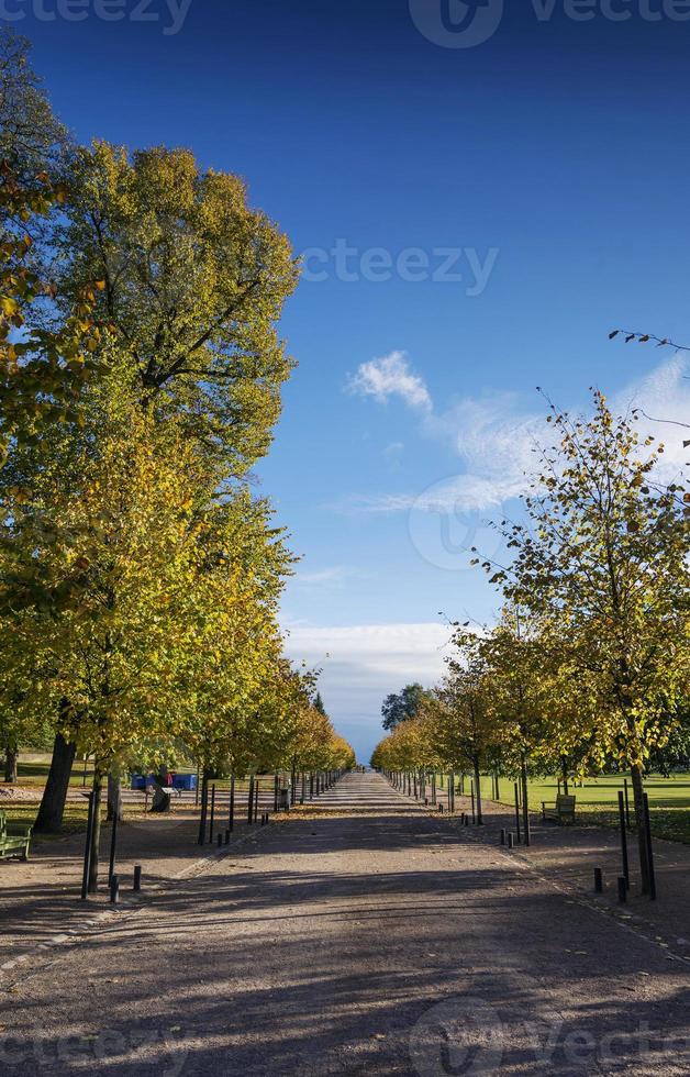 kaivopuisto city urban park i Helsingfors Finland på solig dag foto